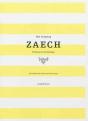 Zaech. The Crossing - Preview