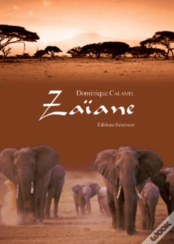 Capa do artigo Zaïane