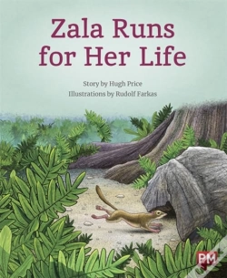Capa do artigo Zala Runs For Her Life