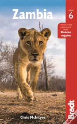 Capa do artigo Zambia