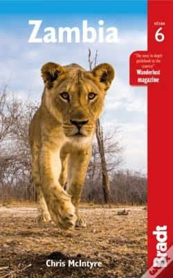 Capa do artigo Zambia