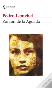 Capa do artigo Zanjón De La Aguada