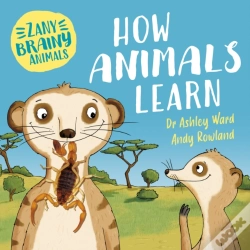 Capa do artigo Zany Brainy Animals: How Animals Learn