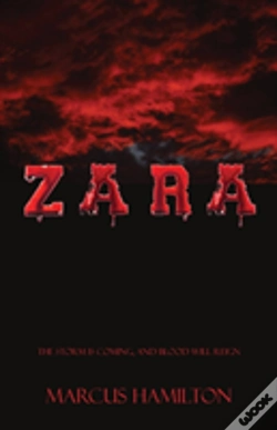 Capa do artigo Zara