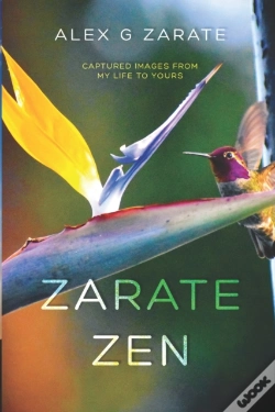 Capa do artigo Zarate Zen