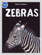 Zebra Activity Workbook Ages 4-8 - Preview