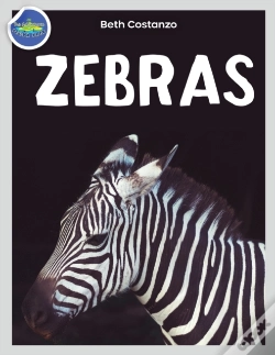 Capa do artigo Zebra Activity Workbook Ages 4-8