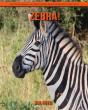 Zebra! An Educational Children'S Book About Zebra With Fun Facts - Preview