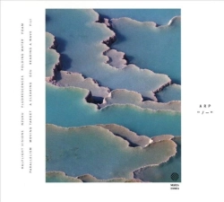 Capa do artigo Zebra - CD