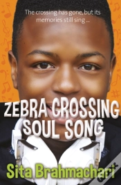Capa do artigo Zebra Crossing Soul Song