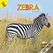 Capa do artigo Zebra