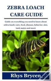 Zebra Loach Care Guide