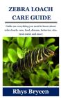 Zebra Loach Care Guide - Preview