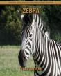 Zebra - Preview