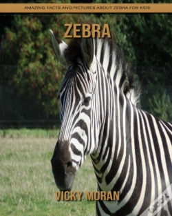 Capa do artigo Zebra