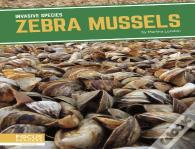 Zebra Mussels