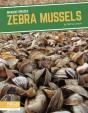 Zebra Mussels - Preview