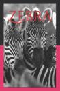 Zebra - Preview