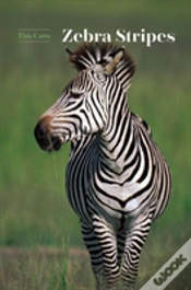 Capa do artigo Zebra Stripes