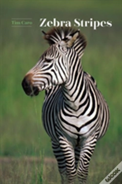 Capa do artigo Zebra Stripes