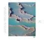 Zebra - Vinil - Preview