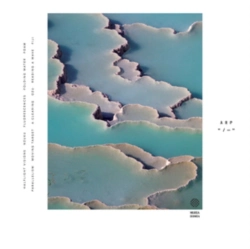 Capa do artigo Zebra - Vinil