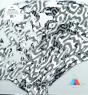 ZebrAa - Vinil - Preview