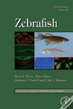 Capa do artigo Zebrafish