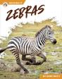 Zebras - Preview