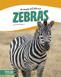 Zebras - Preview