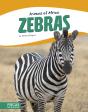 Zebras - Preview