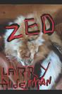Zed - Preview