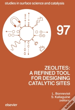 Capa do artigo Zeolites: A Refined Tool For Designing Catalytic Sites