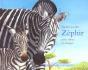 Zephir Le Petit Zebre En Danger - Preview
