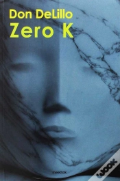 Capa do artigo Zero K