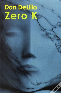 Capa do artigo Zero K