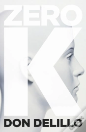 Capa do artigo Zero K