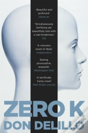 Capa do artigo Zero K