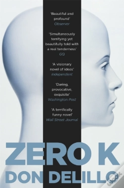 Capa do artigo Zero K