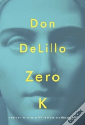 Capa do artigo Zero K