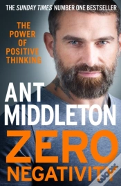 Capa do artigo Zero Negativity