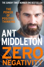 Capa do artigo Zero Negativity