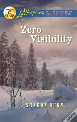 Capa do artigo Zero Visibility