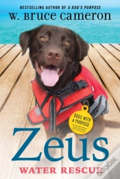 Capa do artigo Zeus: Water Rescue