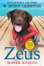 Zeus: Water Rescue - Preview