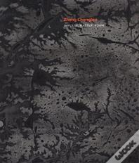 Zheng Chongbin: Impulse, Matter, Form