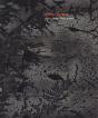 Zheng Chongbin: Impulse, Matter, Form - Preview
