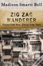Capa do artigo Zig Zag Wanderer