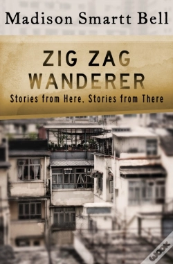 Capa do artigo Zig Zag Wanderer