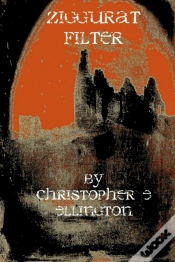 Capa do artigo Ziggurat Filter
